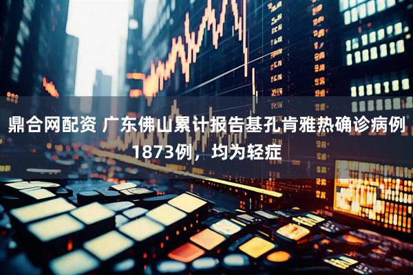 鼎合网配资 广东佛山累计报告基孔肯雅热确诊病例1873例，均为轻症
