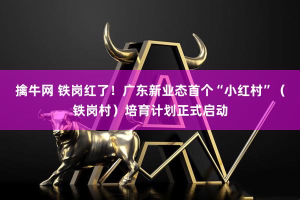 擒牛网 铁岗红了！广东新业态首个“小红村”（铁岗村）培育计划正式启动