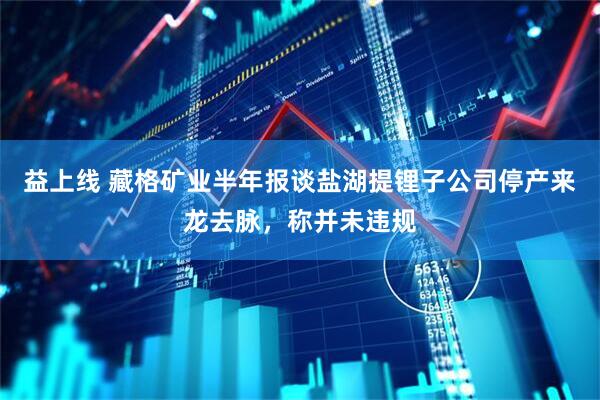 益上线 藏格矿业半年报谈盐湖提锂子公司停产来龙去脉，称并未违规