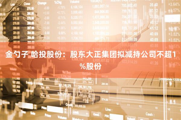 金勺子 哈投股份：股东大正集团拟减持公司不超1%股份