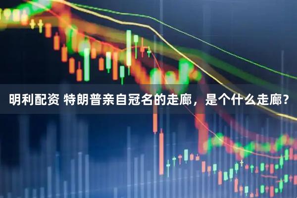 明利配资 特朗普亲自冠名的走廊，是个什么走廊？