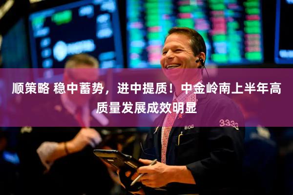 顺策略 稳中蓄势，进中提质！中金岭南上半年高质量发展成效明显