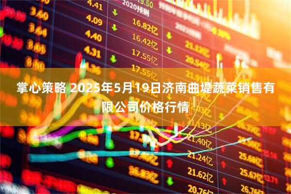 掌心策略 2025年5月19日济南曲堤蔬菜销售有限公司价格行情