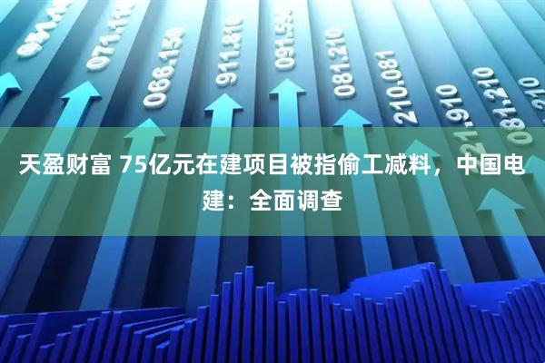 天盈财富 75亿元在建项目被指偷工减料，中国电建：全面调查