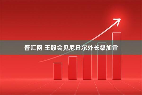 普汇网 王毅会见尼日尔外长桑加雷