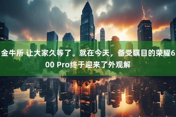 金牛所 让大家久等了。就在今天，备受瞩目的荣耀600 Pro终于迎来了外观解